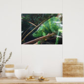 Lézard, Reptile, Chameleon, Poster de mur de la na (Cuisine)