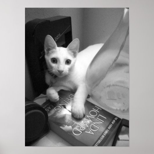 Lezen Poster (Voorkant)