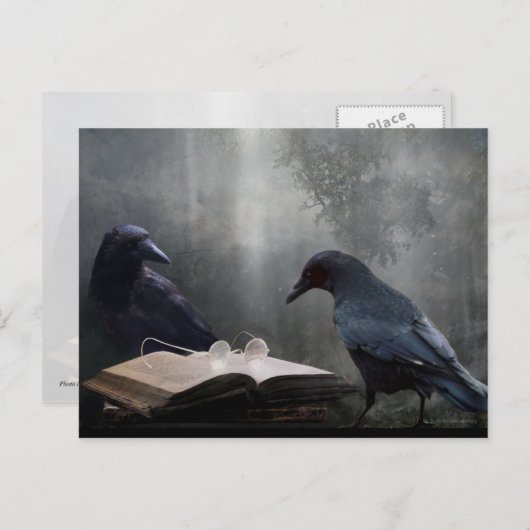 Lezer Briefkaart (Voorkant / Achterkant)