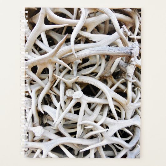 Lg Planner Antlers Elk (Devant)