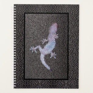 Lg Planner Gecko sur le verre