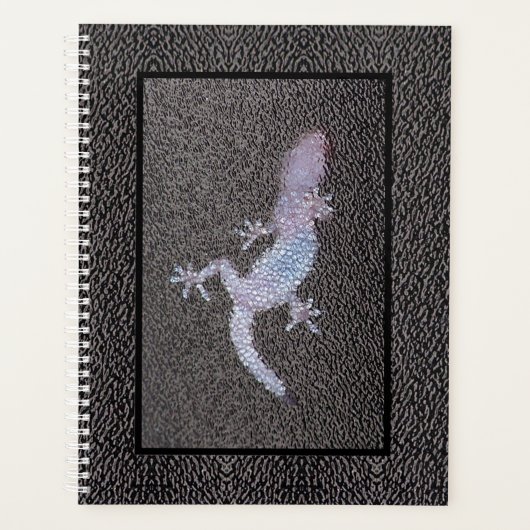 Lg Planner Gecko sur le verre (Devant)