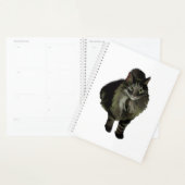 Lg Planner Maine Coon Chat (Devant avec enveloppe)