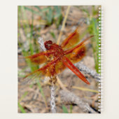 Lg Planner Orange Dragonfly (Dos)