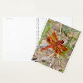 Lg Planner Orange Dragonfly (Devant avec enveloppe)