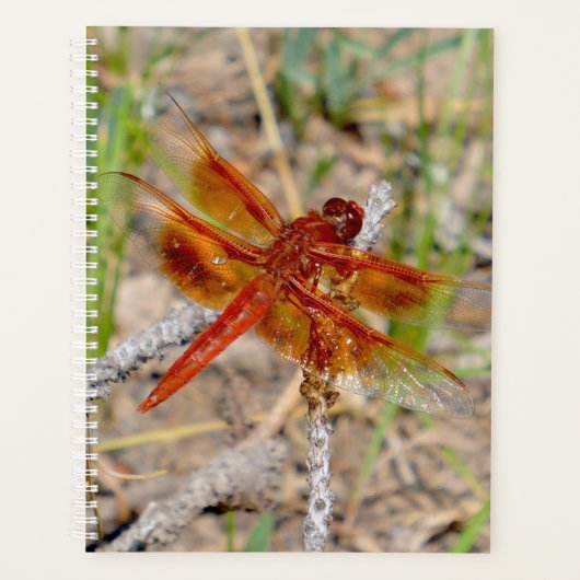 Lg Planner Orange Dragonfly (Devant)