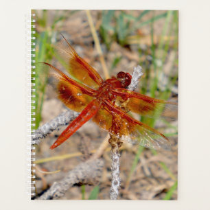 LG Planner Oranje libel