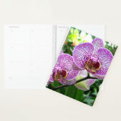 Lg Planner Orchidées à rayures violettes (Devant avec enveloppe)