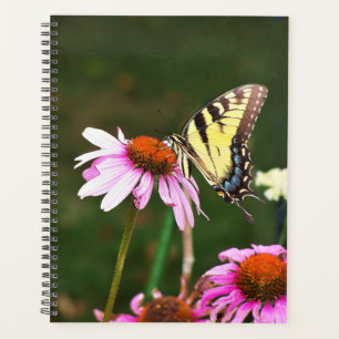 Lg Planner Tiger Swallower sur Coneflower