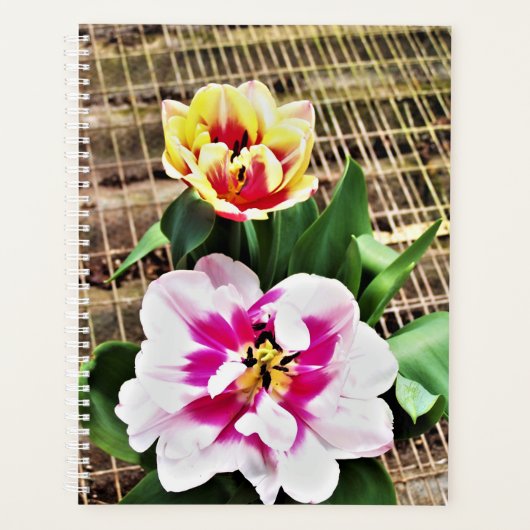 Lg Planner Tulipes rose/Jaune (Devant)