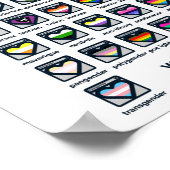 LGBT Pride Flags Identifier Poster (Hoek)
