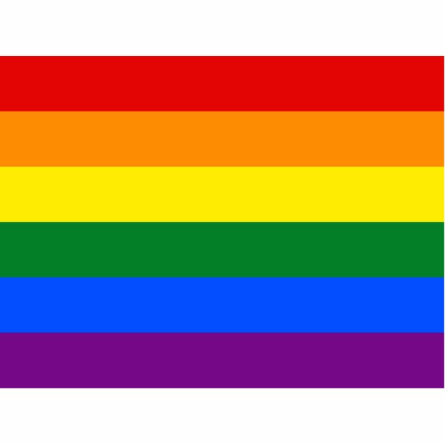 LGBT Rainbow Gay Pride Flag Staand Fotobeeldje (Voorkant)