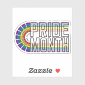 LGBT Rainbow Pride vlag Sticker (Vel)