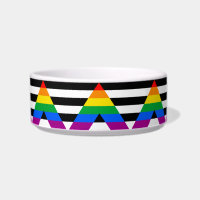 LGBTQ+ Ally-vlag