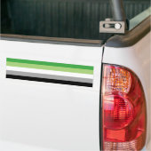 LGBTQ Aromantische Pride Vlag Bumpersticker (Op Truck)