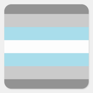 LGBTQ Demiboy Pride Vlag Vierkante Sticker