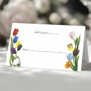 LGBTQ plus Tulpen Bloemen