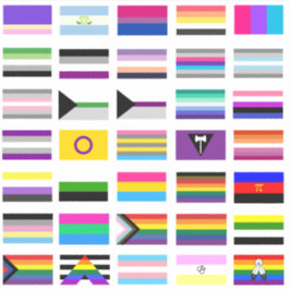LGBTQ+ Pride Flags Sticker