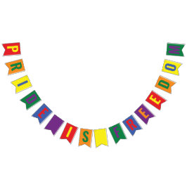 LGBTQ Pride is Freedom Rainbow Vlaggetjes