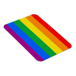 LGBTQ+ Regenboog Pride Vlag Magneet