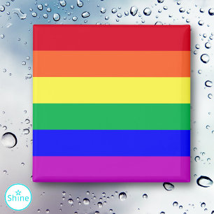 LGBTQ+ Regenboogvlag Gay Pride-vlag Regenboogstrep Magneet