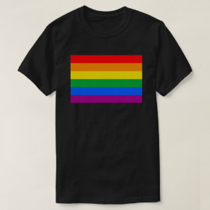 LGBTQ+ Regenboogvlag T-shirt