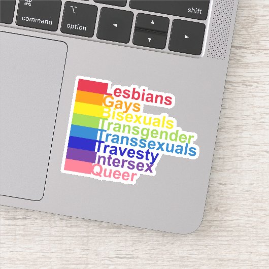 LGBTTTIQ STICKER (Detail)