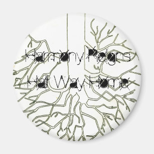 L'harmonie règne, mi-chemin Magnets à la maison