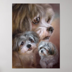Lhasa Apso Art Poster/Afdruk Poster