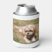 Lhasa Apso Blikjeskoeler (Blikje Voorkant)