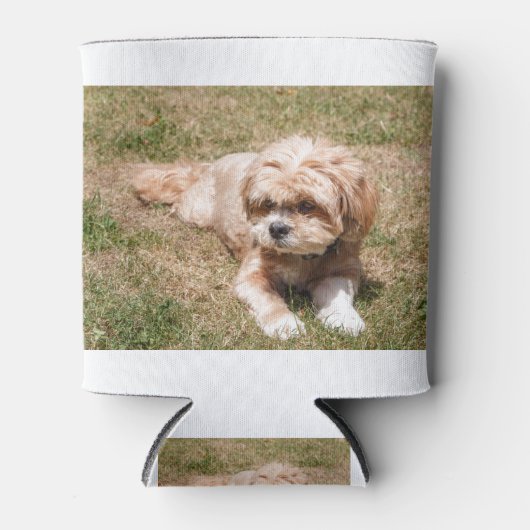Lhasa Apso Blikjeskoeler (Voorkant)