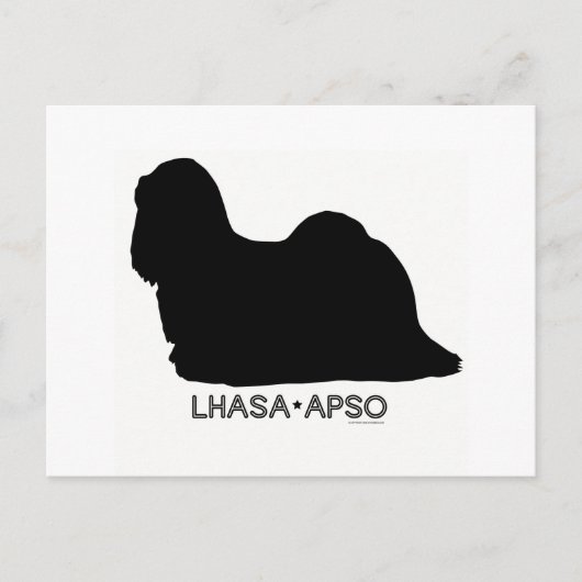 Lhasa Apso Briefkaart (Voorkant)