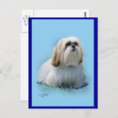 Lhasa Apso Briefkaart (Voorkant / Achterkant)