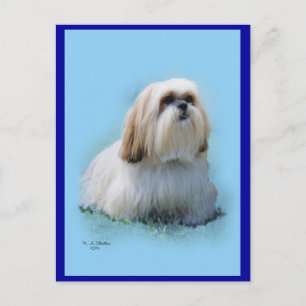 Lhasa Apso Briefkaart