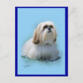 Lhasa Apso Briefkaart (Voorkant)