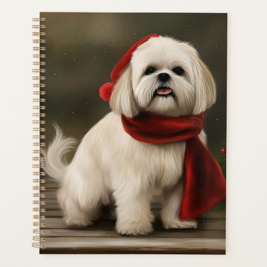 Lhasa Apso Chien dans Noël de neige (Devant)