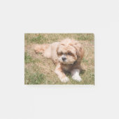 Lhasa Apso dog Post-it® Notes (Voorkant)