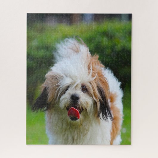 Lhasa Apso-hondenras. Legpuzzel (Verticaal)