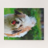 Lhasa Apso-hondenras. Legpuzzel (Horizontaal)