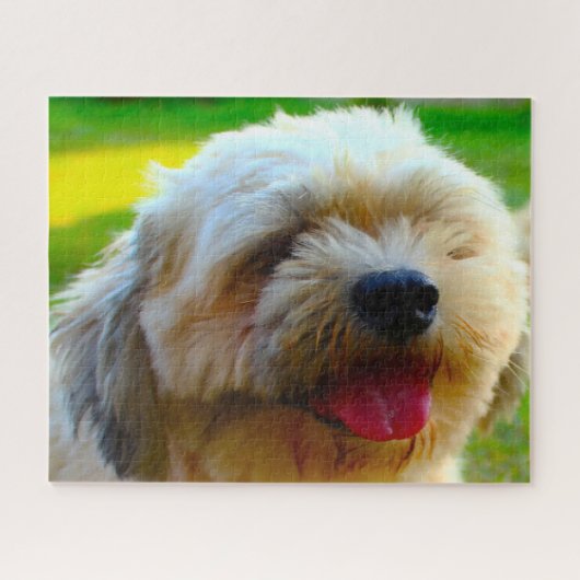 Lhasa Apso Hondenras. Legpuzzel (Horizontaal)