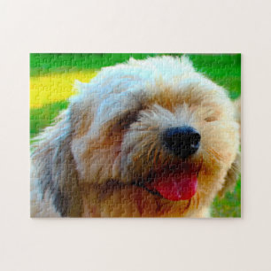 Lhasa Apso-hondenras. Legpuzzel