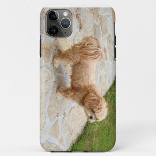 Lhasa Apso in een tuin iPhone 11 Pro Max Hoesje