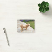 Lhasa Apso in een tuin Post-it® Notes (Kantoor)