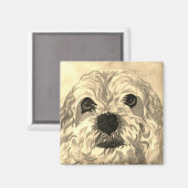 Lhasa Apso Magneet (Voorkant / Achterkant)