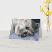 Lhasa Apso Mist je Kaart (Gele Bloem)