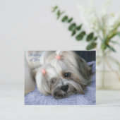 Lhasa Apso Rugged Little "Bark Lion Dog" Post Card Briefkaart (Staand voorkant)