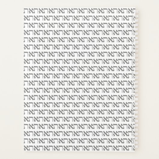 L'hébreu Aleph Tav Silver (Dos)