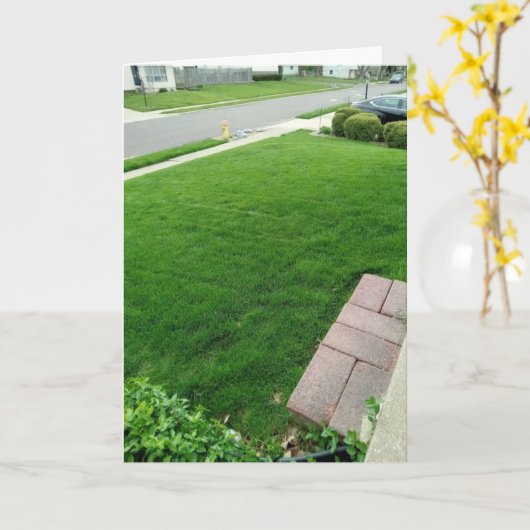 L'herbe est la CARTE verte (Fleur jaune)