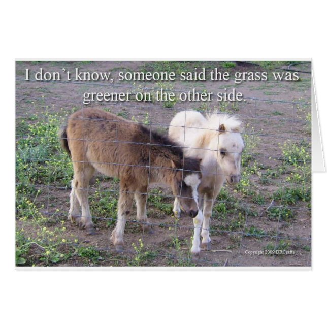 L'herbe est plus verte (Devant horizontal)