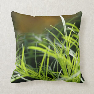 L'herbe est toujours plus verte… Coussin